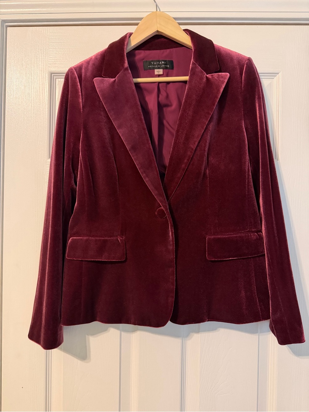Velvet Blazer Jacket